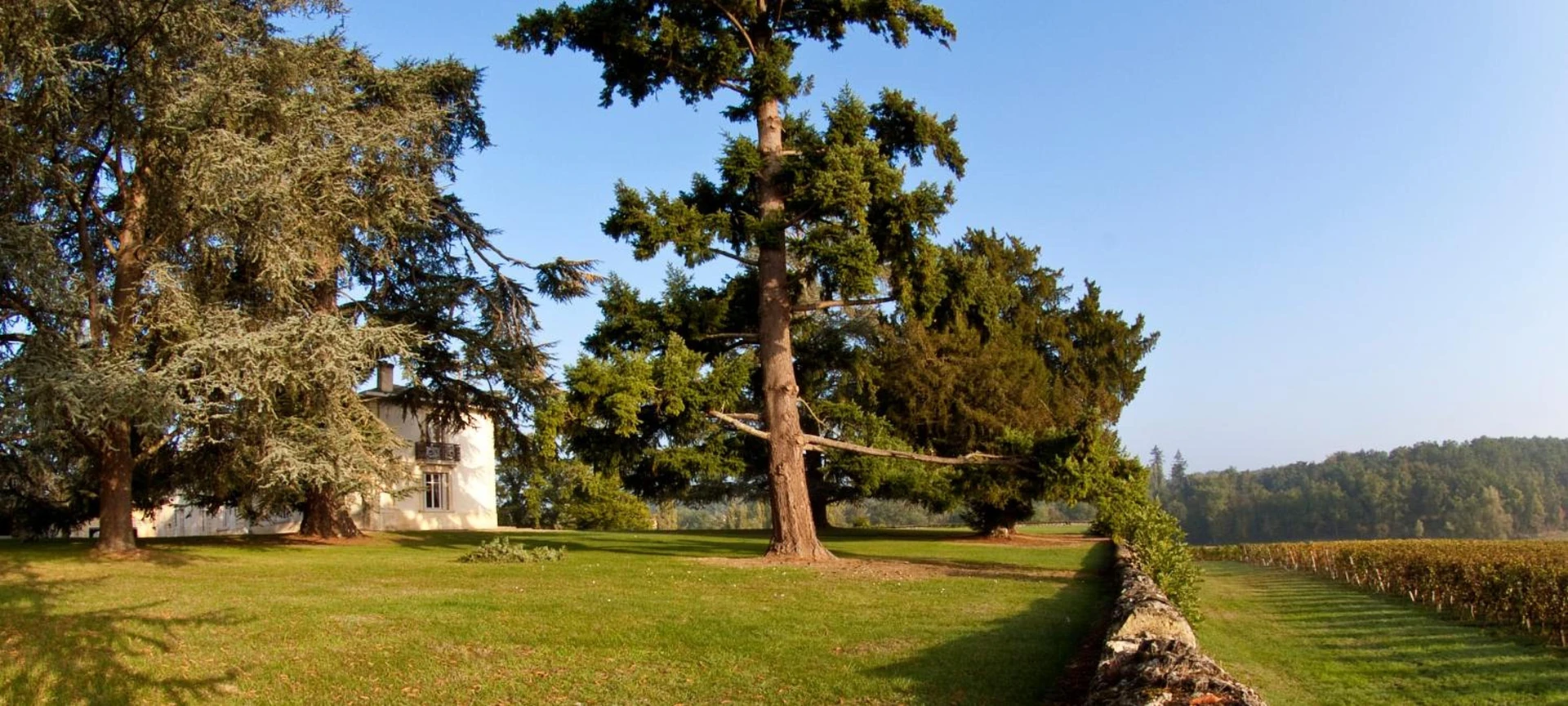 Organiser un séminaire d'entreprise : Le Château de Pey La Tour à Sallebœuf