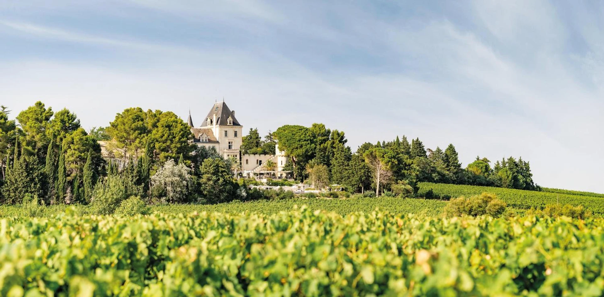 Organiser un séminaire d'entreprise : Le Château les Carrasses à Montels