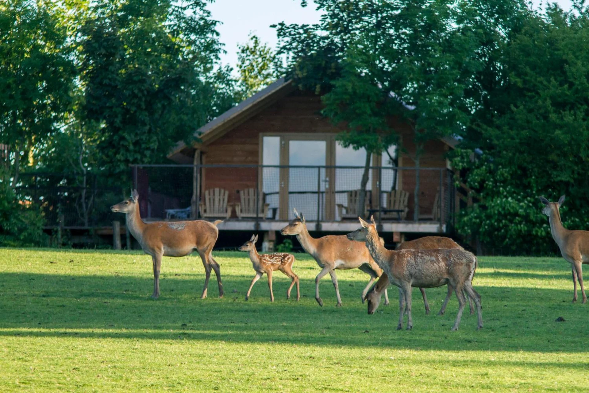 Organiser un séminaire d'entreprise : Parc Sainte Croix à Rhodes