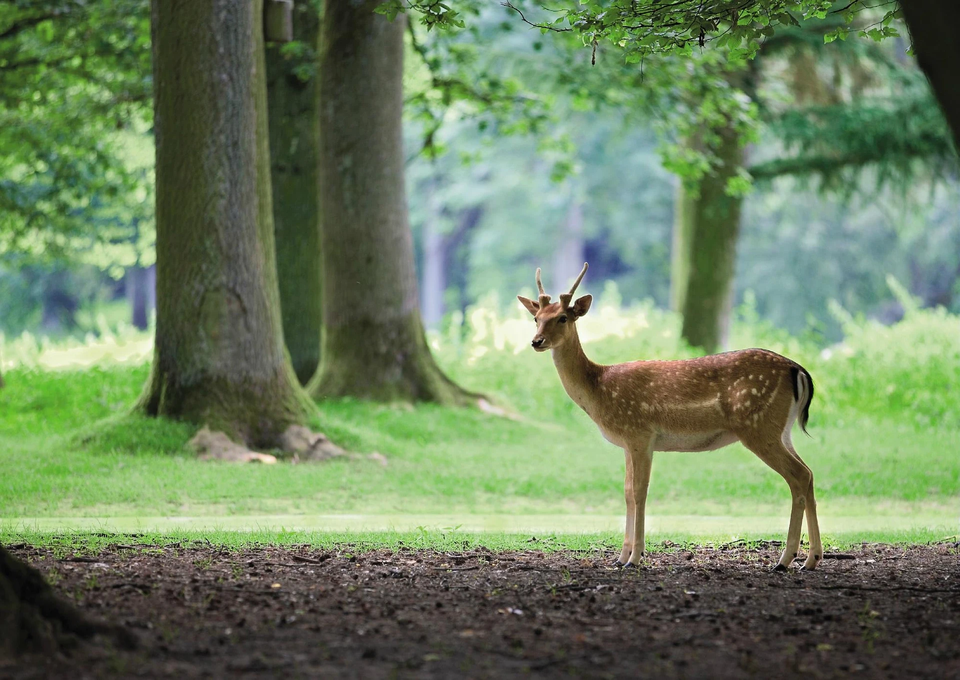 Organiser un séminaire d'entreprise : Center Parcs | Le Domaine de Mirabelle à Morton