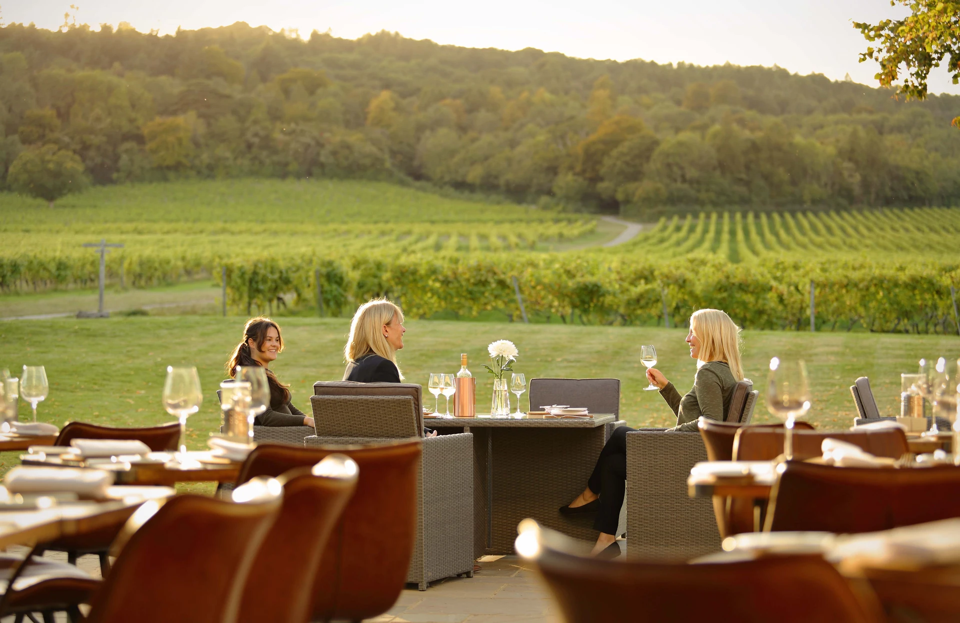 Organiser un séminaire d'entreprise : Denbies Wine Estate  à null