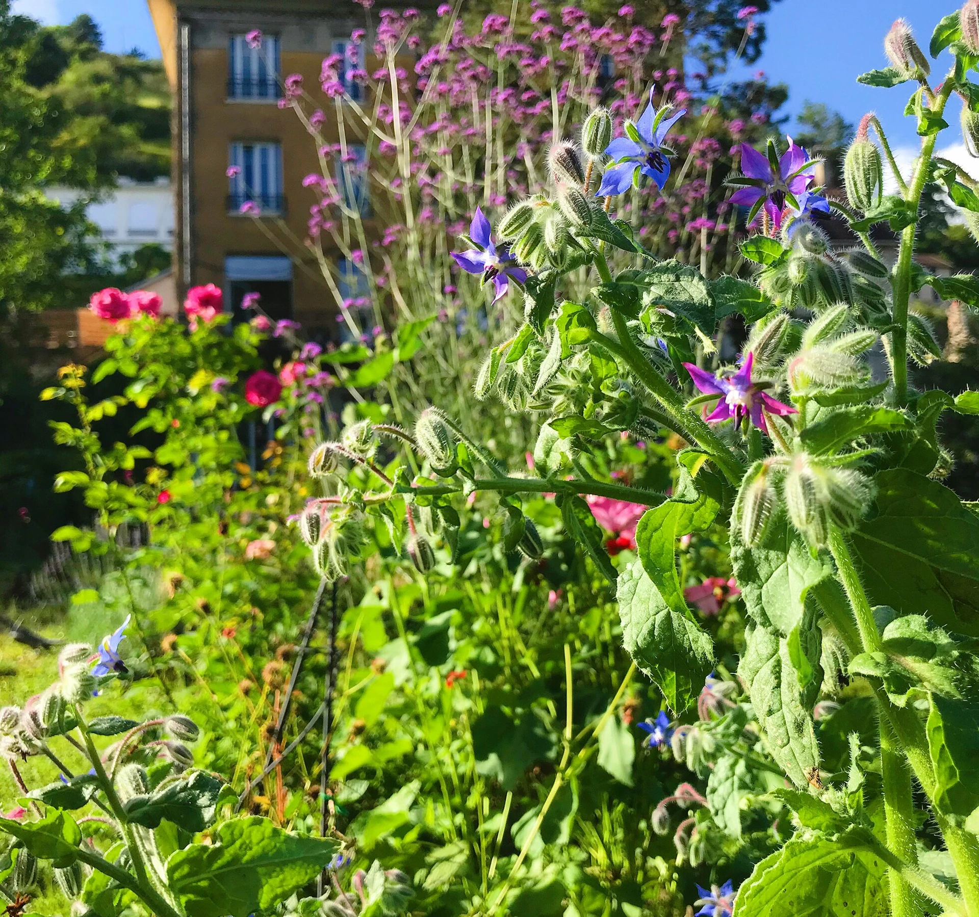 Organiser un séminaire d'entreprise : Green Home Vexin à La Roche-Guyon