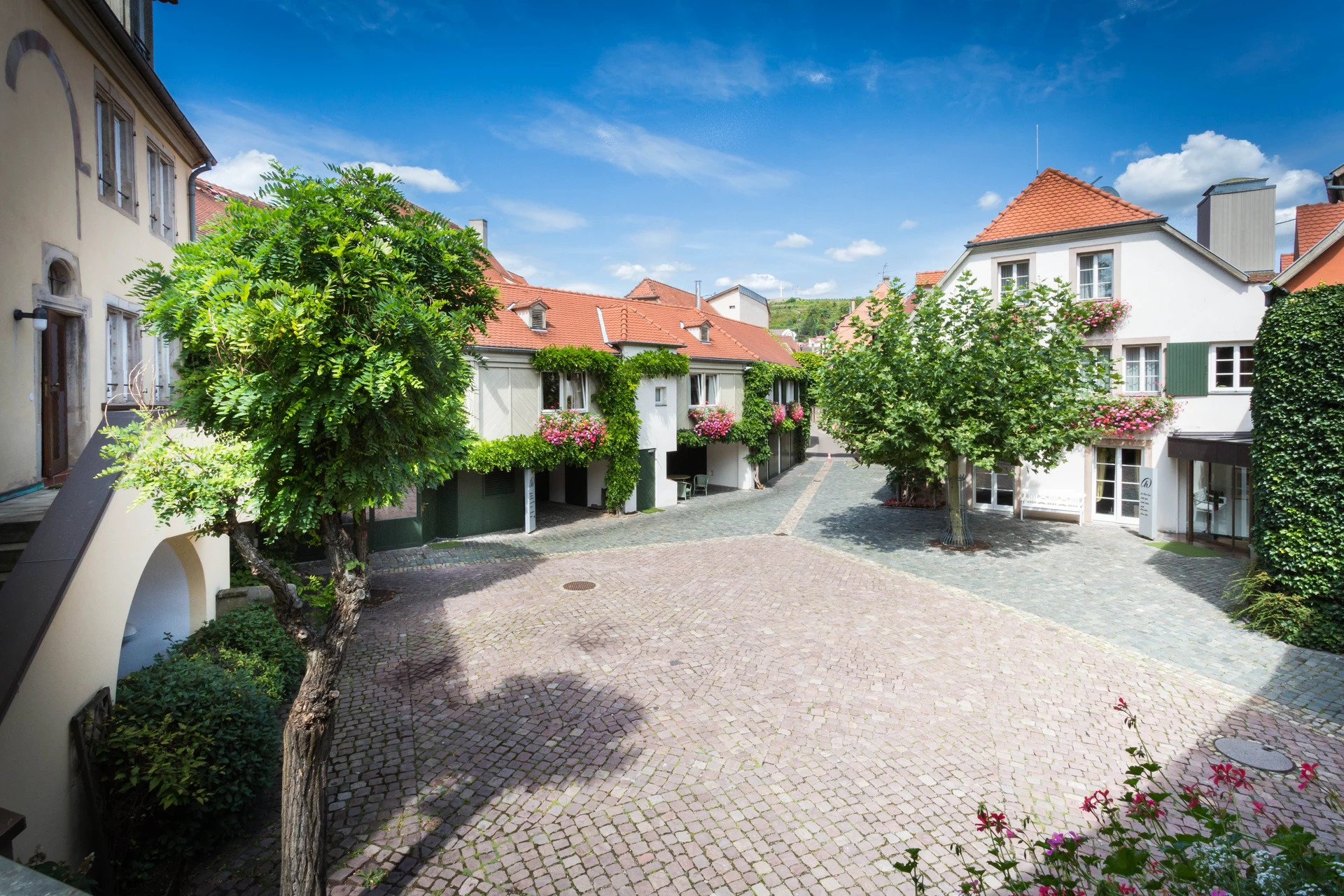 Organiser un séminaire d'entreprise : À la Cour d'Alsace · Hôtel Restaurant & Spa by HappyCulture à Obernai, France