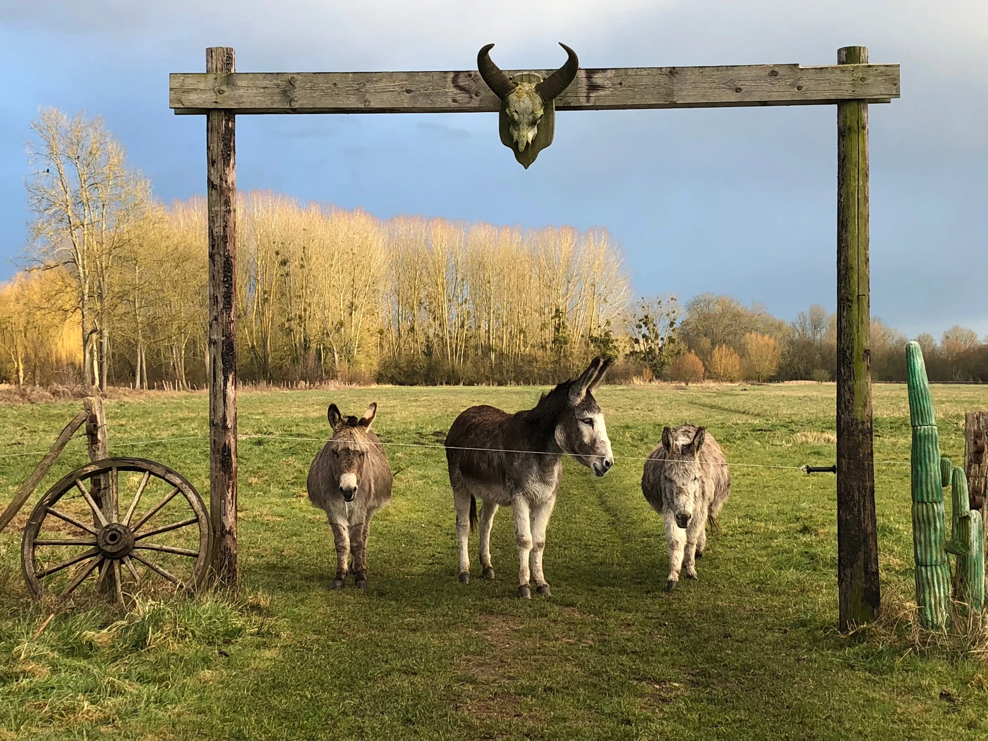 Organiser un séminaire d'entreprise : La ferme d'Isabelle à Autheuil-Authouillet